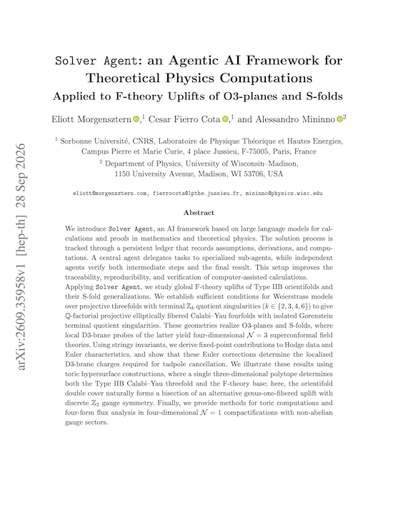 Solver Agent: an Agentic AI Framework for Theoretical Physics Computations